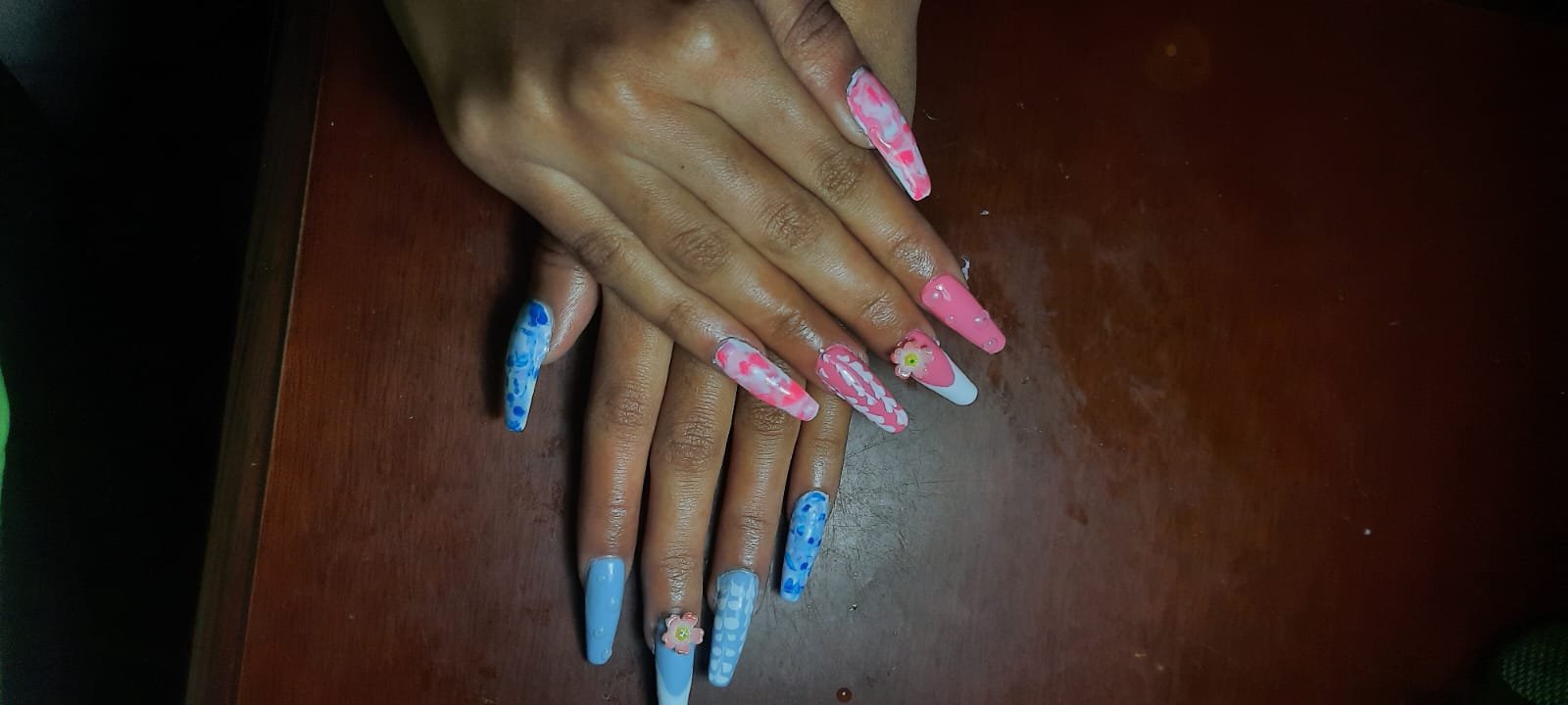 TeenageOnABudget-Hand-bluepink